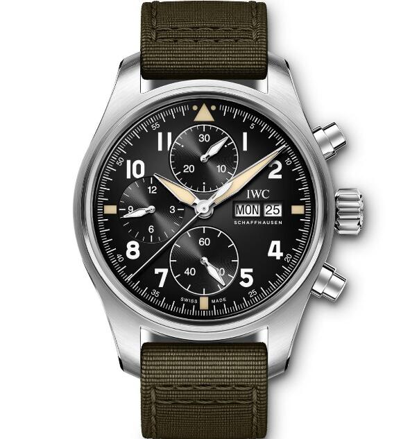 The IWC has been favored by many men with its brilliant appearance and high performance.